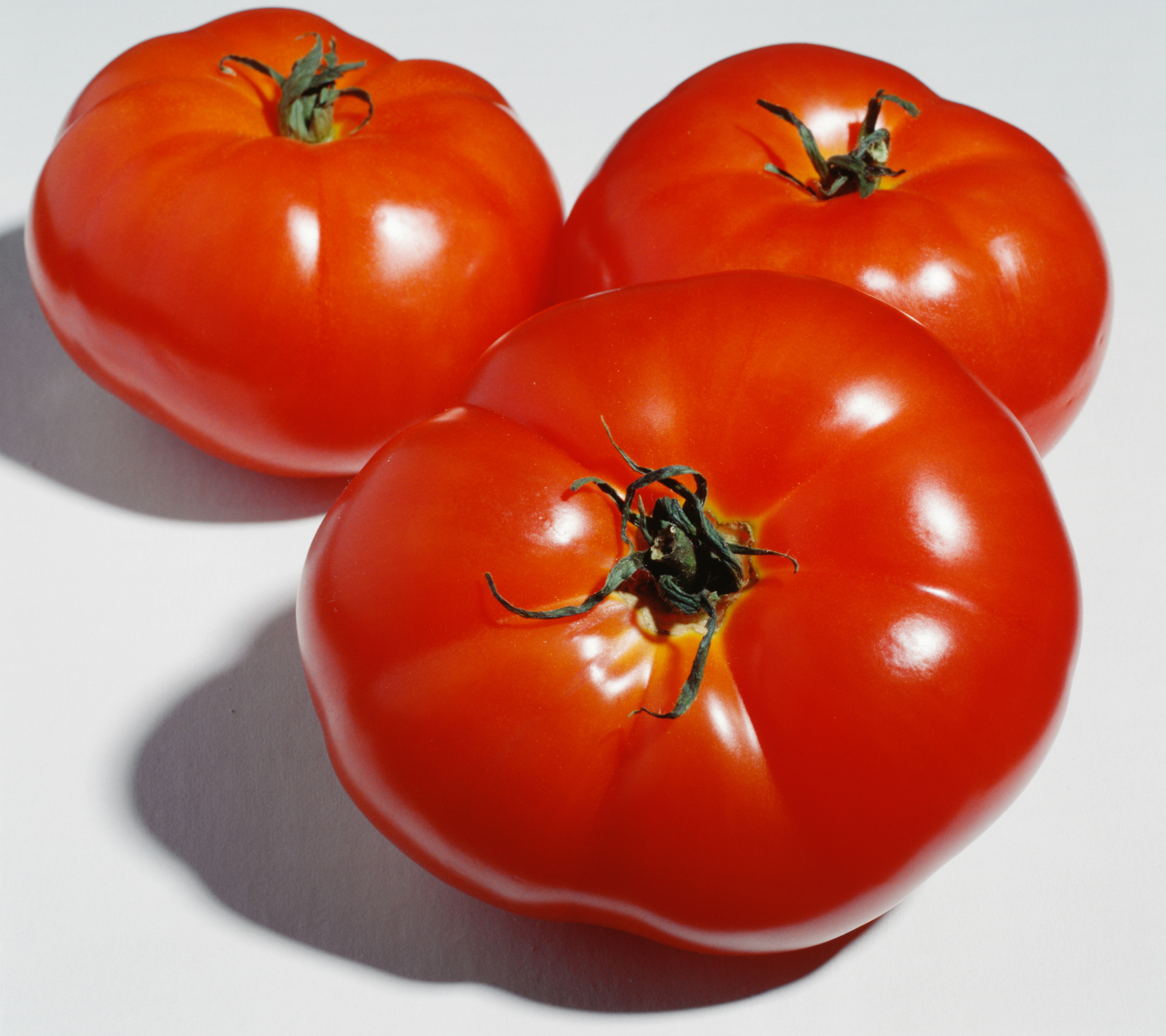 Picture of Brandywine Tomato